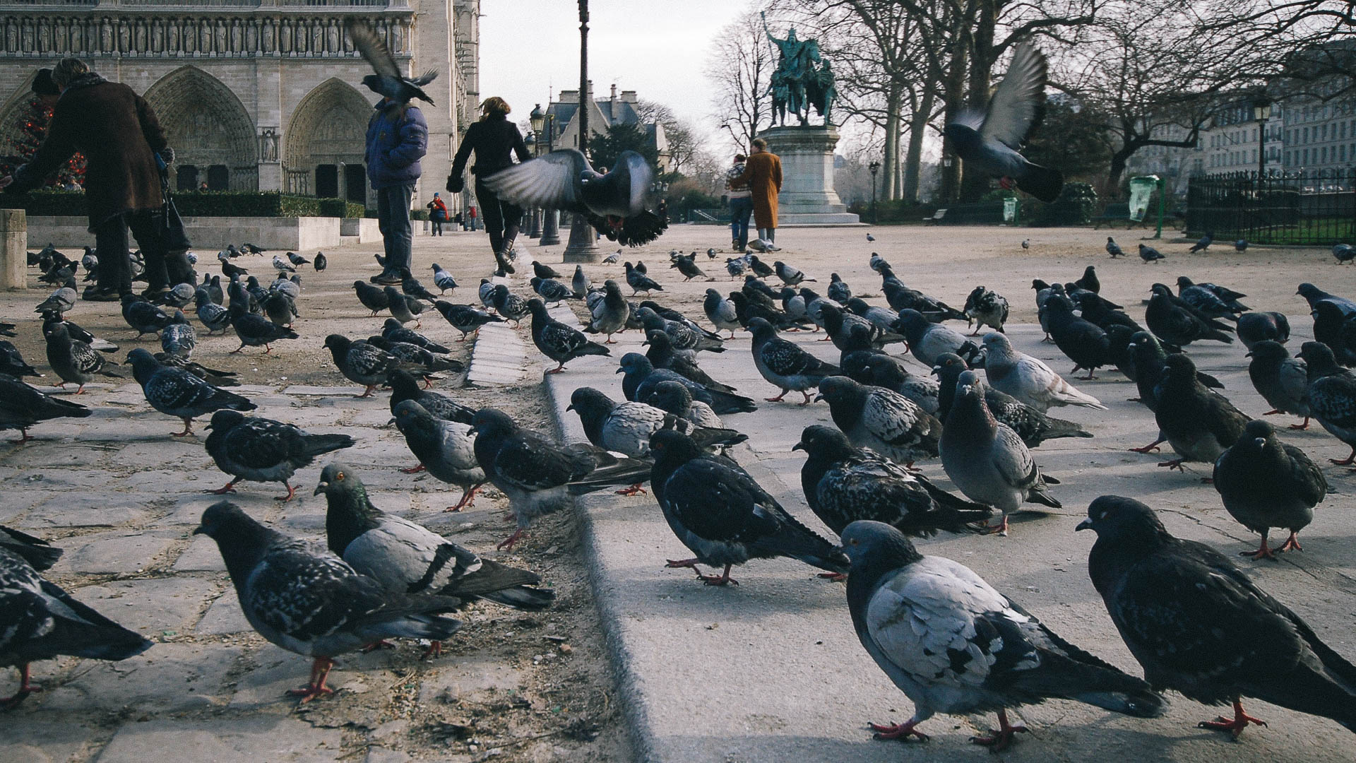 Paris, France|klyuen travel photography