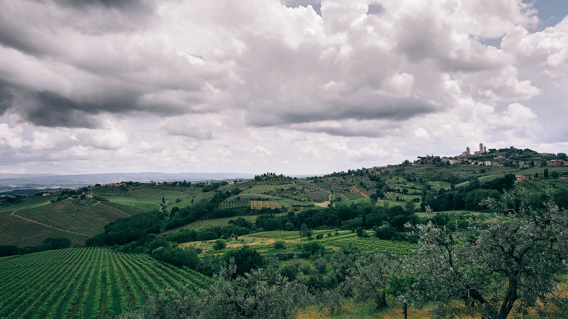 Chianti, Tuscany, Italy|klyuen travel photography