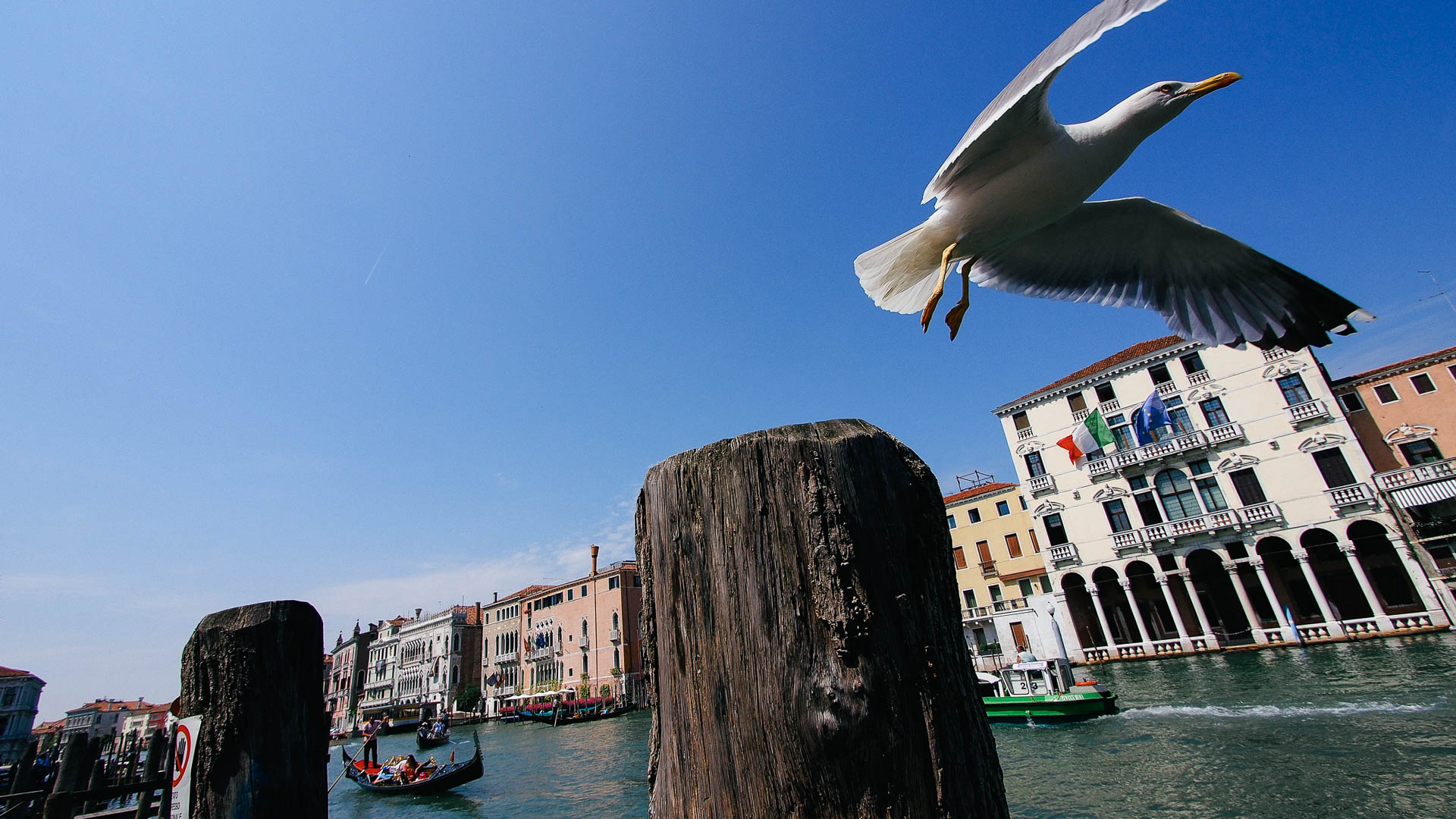 Venice, Italy|klyuen travel photography