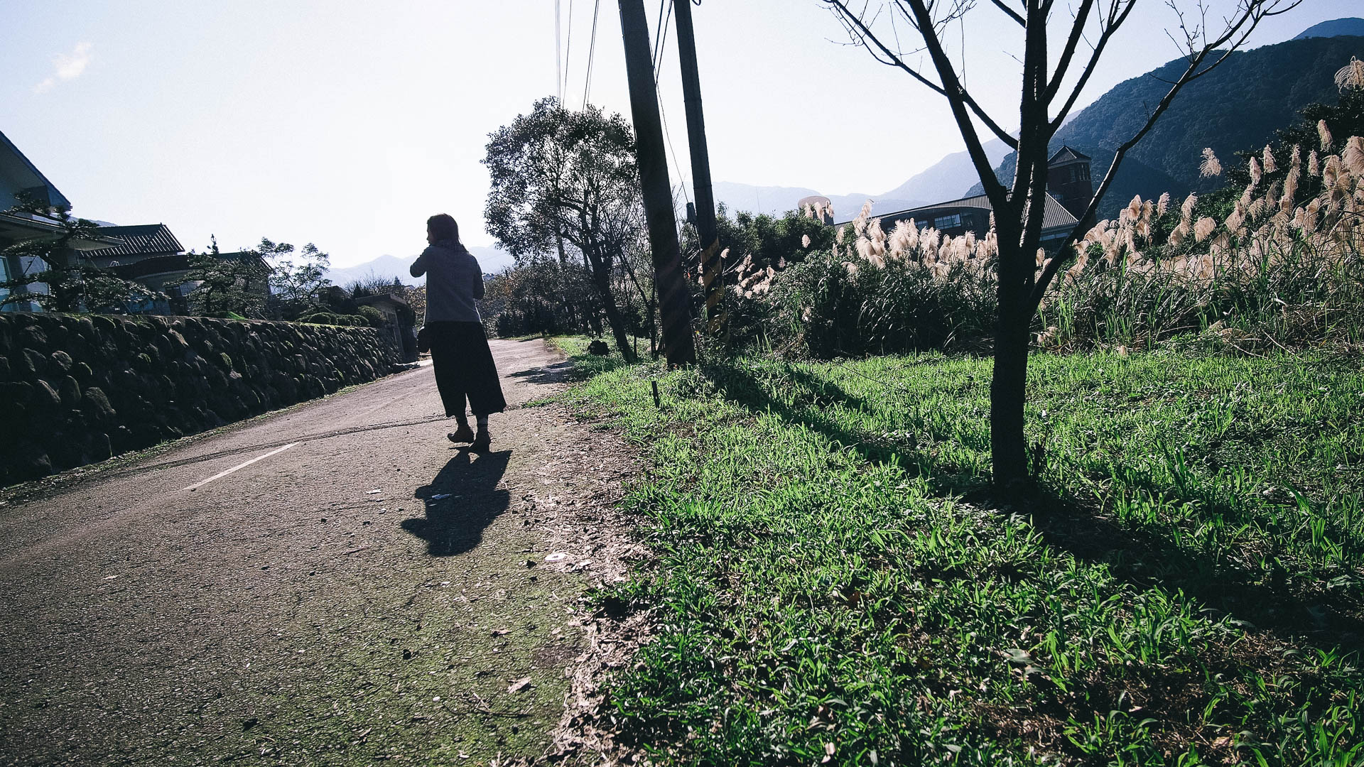 Yangmingshan / Taipei, Taiwan