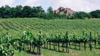 Chianti, Tuscany, Italy|klyuen travel photography