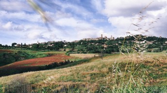 Chianti, Tuscany, Italy|klyuen travel photography